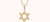 Marlo Laz Southwestern Star of David Necklace